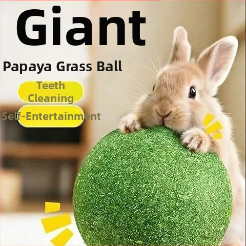 Jucărie pentru hamster: minge de iarbă pentru mestecat cu papaya și iarbă Timothy – gustare interactivă