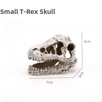 Dekorácia do akvária s lebkou dinosaura zo živice a figúrkou fúzatého draka