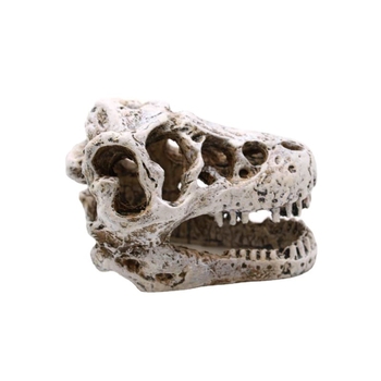 Decor pentru acvariu cu craniu de dinozaur din rășină și figură de bearded dragon