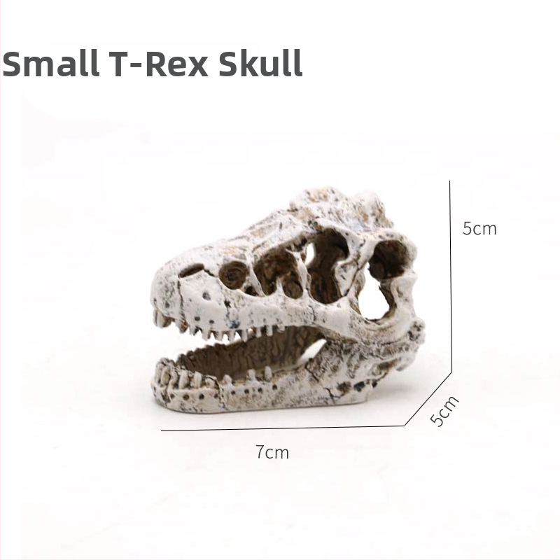 Dekorácia do akvária s lebkou dinosaura zo živice a figúrkou fúzatého draka