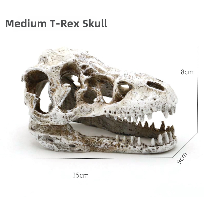 Dekorácia do akvária s lebkou dinosaura zo živice a figúrkou fúzatého draka