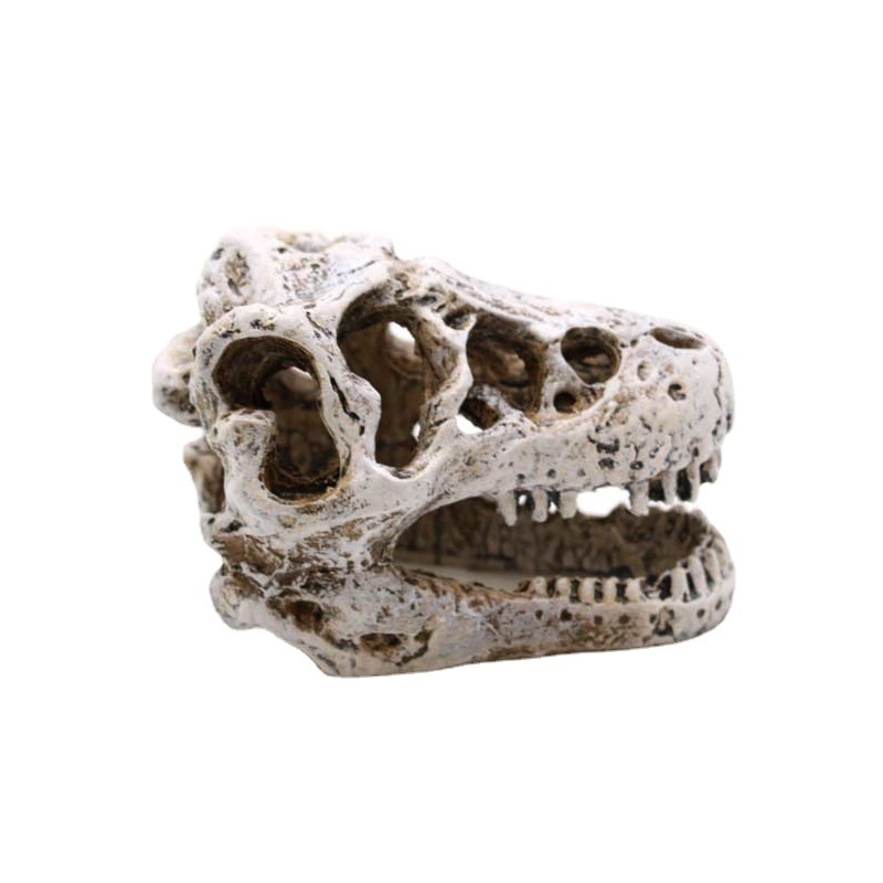 Decor pentru acvariu cu craniu de dinozaur din rășină și figură de bearded dragon