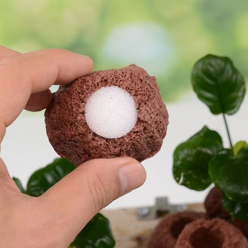 Inel din piatră vulcanică pentru plante acvatice – inel perforat pentru plantare, bază fixă și inel de scufundare pentru decorul acvariului