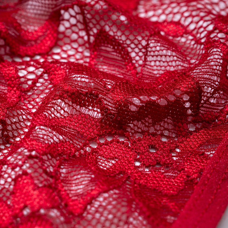 Tanga din dantelă, sexy, din nylon, talie joasă, T-back