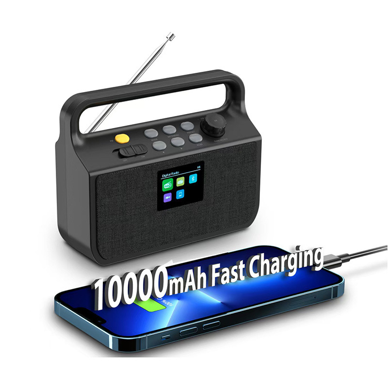 DAB radio cu baterie de 10000mAh și încărcare rapidă, difuzor Bluetooth încorporat