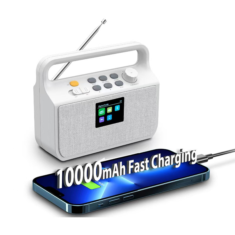 DAB radio cu baterie de 10000mAh și încărcare rapidă, difuzor Bluetooth încorporat