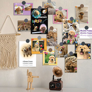 15 cărți poștale cu cățeluși Golden Retriever în stil Instagram, felicitări drăguțe de vindecare, aspect vizual înalt, decoruri murale pentru interior