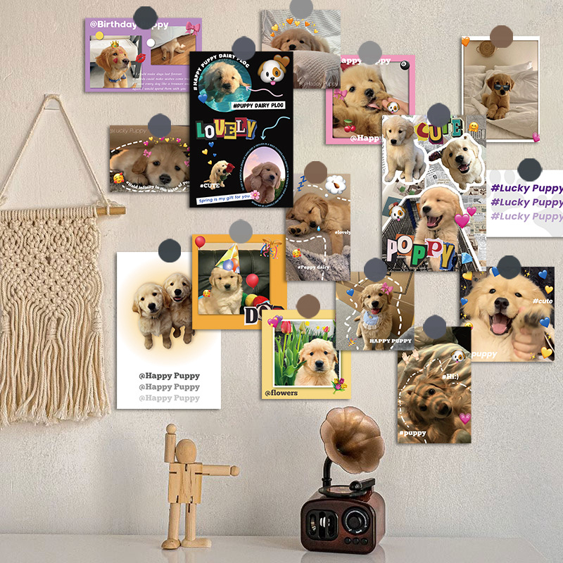 15 cărți poștale cu cățeluși Golden Retriever în stil Instagram, felicitări drăguțe de vindecare, aspect vizual înalt, decoruri murale pentru interior
