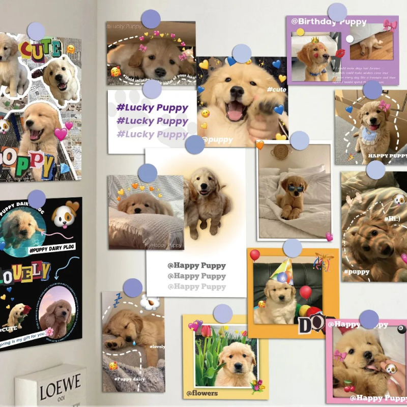 15 cărți poștale cu cățeluși Golden Retriever în stil Instagram, felicitări drăguțe de vindecare, aspect vizual înalt, decoruri murale pentru interior