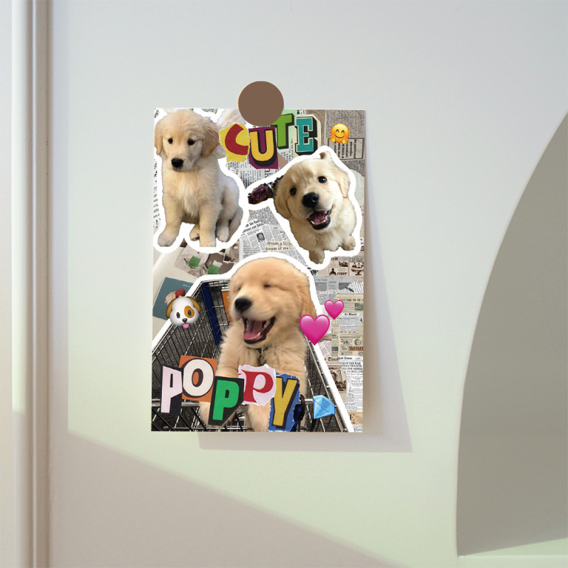 15 cărți poștale cu cățeluși Golden Retriever în stil Instagram, felicitări drăguțe de vindecare, aspect vizual înalt, decoruri murale pentru interior