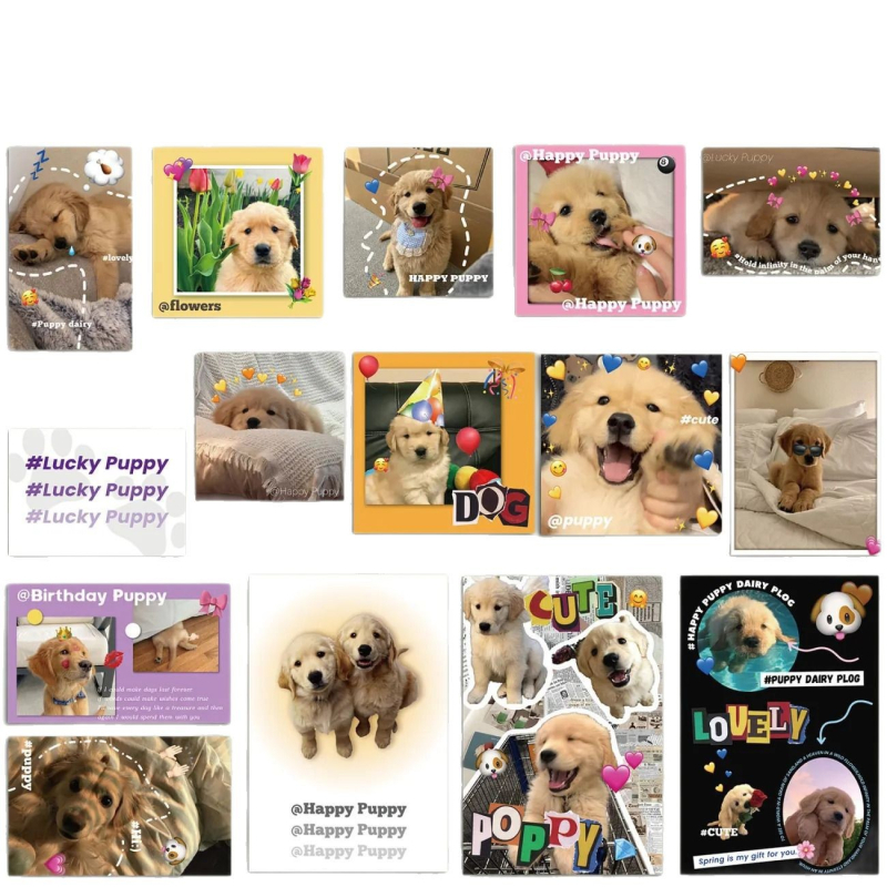 15 cărți poștale cu cățeluși Golden Retriever în stil Instagram, felicitări drăguțe de vindecare, aspect vizual înalt, decoruri murale pentru interior