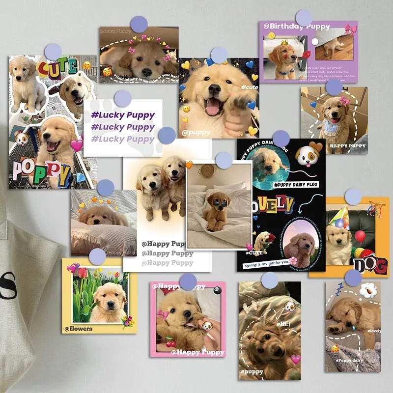 15 cărți poștale cu cățeluși Golden Retriever în stil Instagram, felicitări drăguțe de vindecare, aspect vizual înalt, decoruri murale pentru interior