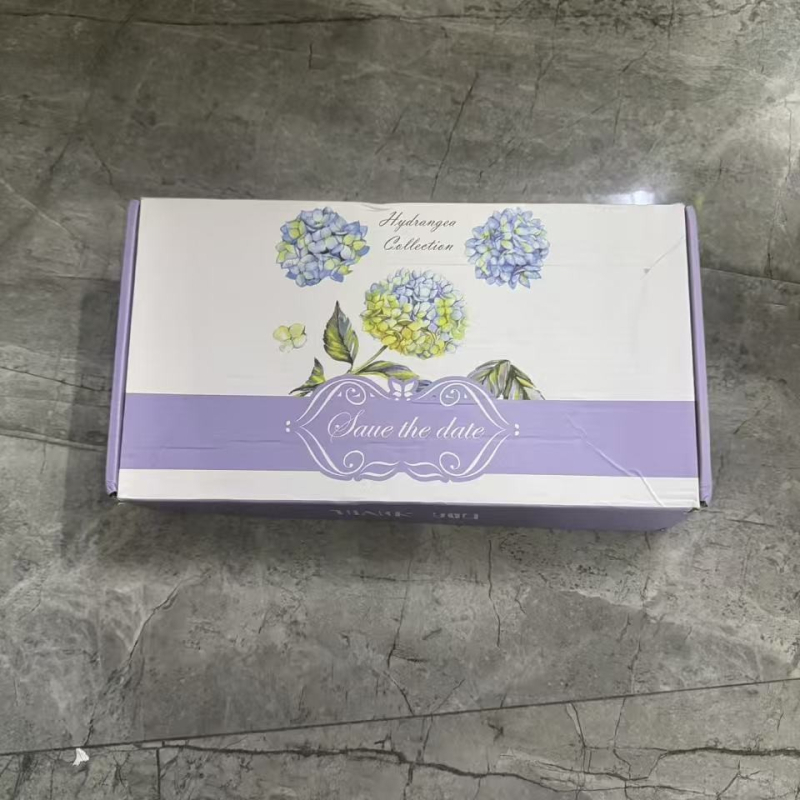 Cutie cadou pentru lenjerie în formă de avion