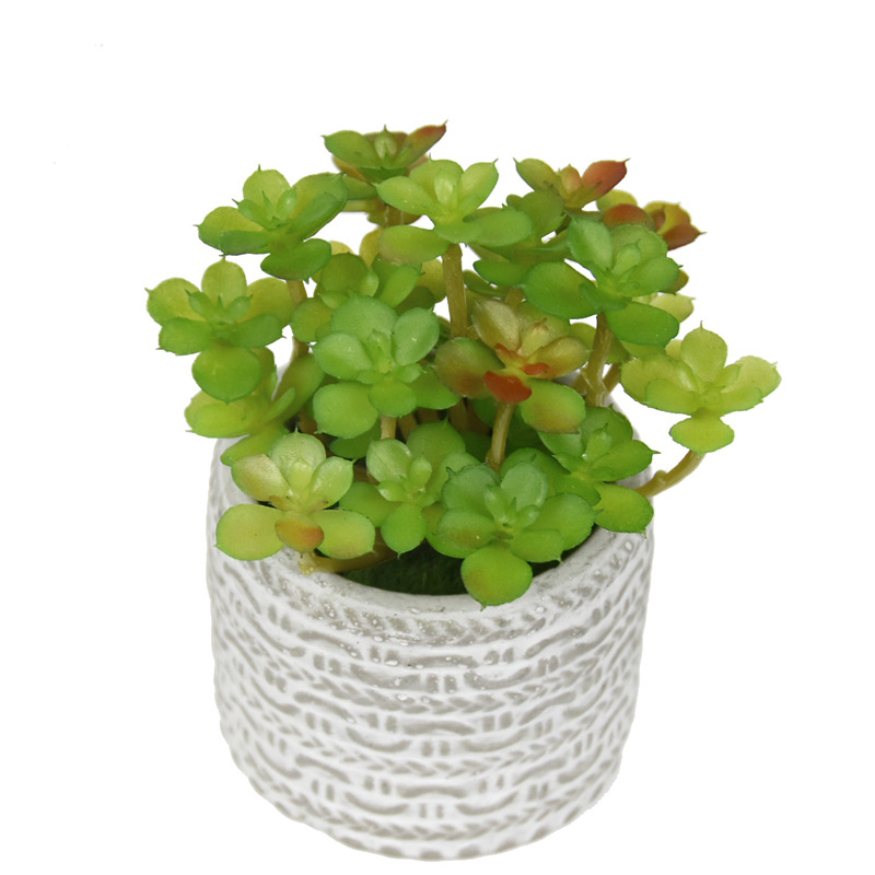 Planta suculentă artificială, 11 cm, cu frunze concave Sedum, plantă decorativă de birou din plastic