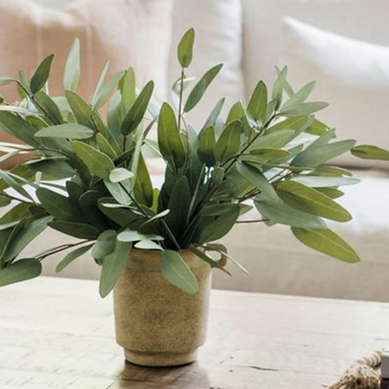 Ramură mică de eucalipt artificial cu frunze, decor pentru casă în stil nordic