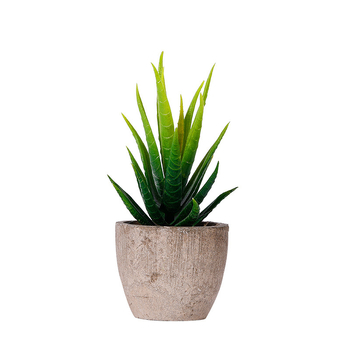 Suculente artificiale în ghiveci cu Aloe vera pentru decor acasă și la birou – ornament mic în stil bonsai