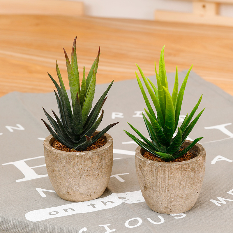Suculente artificiale în ghiveci cu Aloe vera pentru decor acasă și la birou – ornament mic în stil bonsai