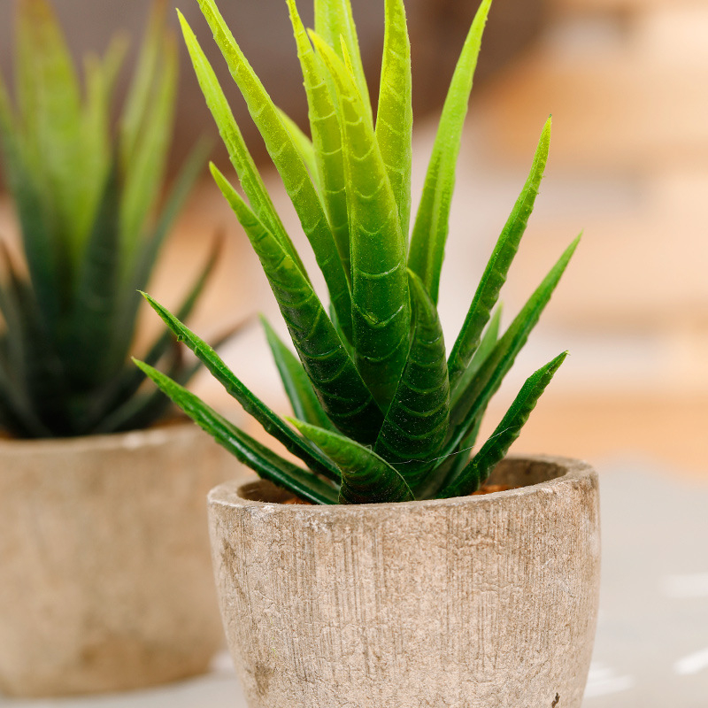Suculente artificiale în ghiveci cu Aloe vera pentru decor acasă și la birou – ornament mic în stil bonsai
