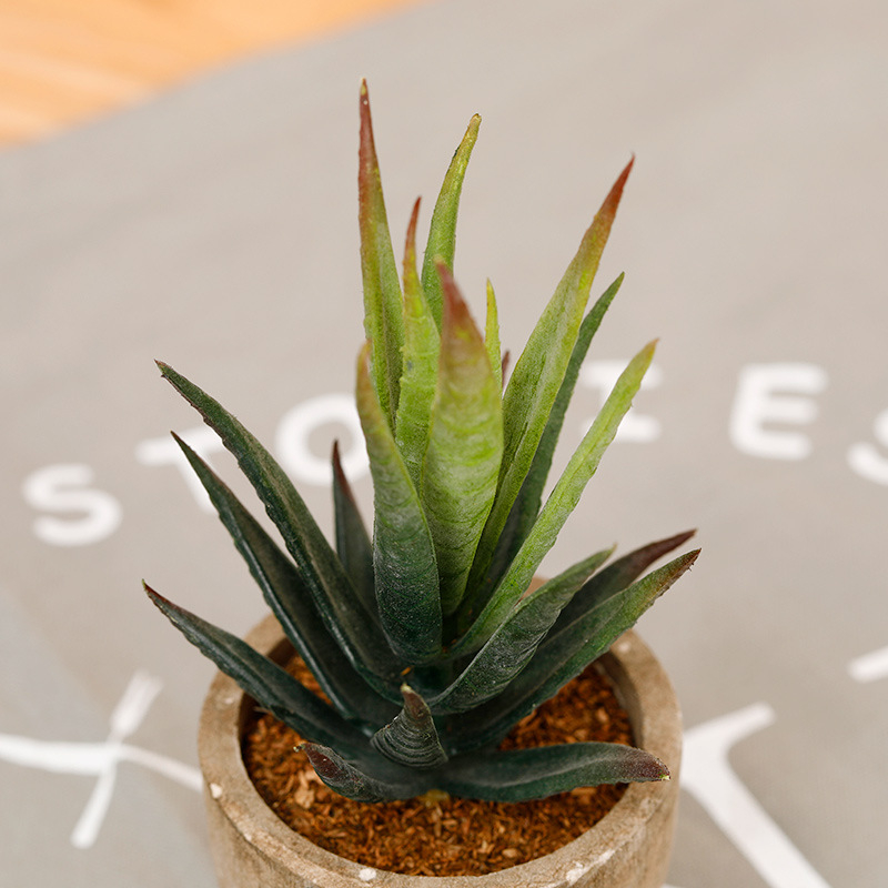 Suculente artificiale în ghiveci cu Aloe vera pentru decor acasă și la birou – ornament mic în stil bonsai