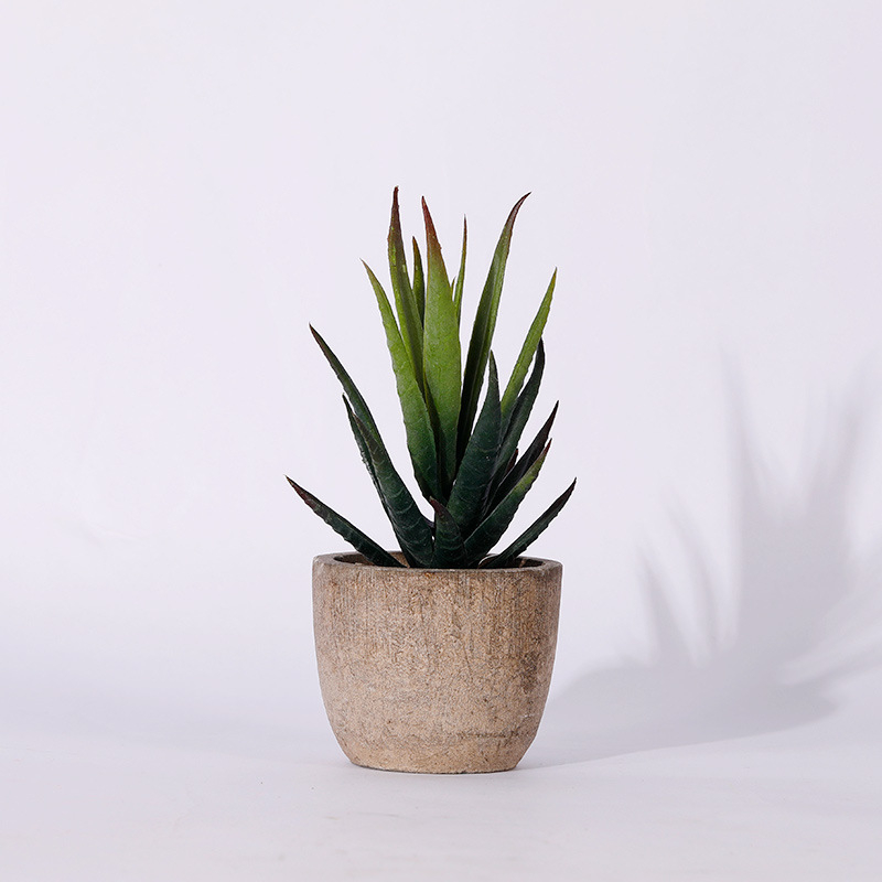 Suculente artificiale în ghiveci cu Aloe vera pentru decor acasă și la birou – ornament mic în stil bonsai