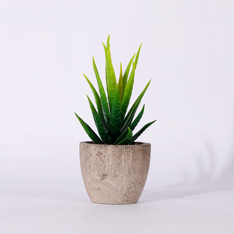 Suculente artificiale în ghiveci cu Aloe vera pentru decor acasă și la birou – ornament mic în stil bonsai