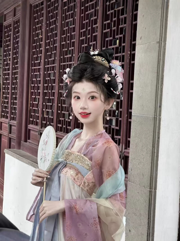Set Hanfu pentru femei, inspirat din dinastia Tang, talie empire, siluetă slim, costum antic în stil național chinezesc pentru purtare zilnică primăvară-vară.