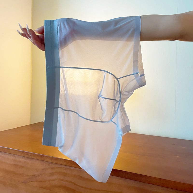 Boxer briefs pentru bărbați, complet transparenți - respirabile, plasă fină, ultra-subțiri pentru vară