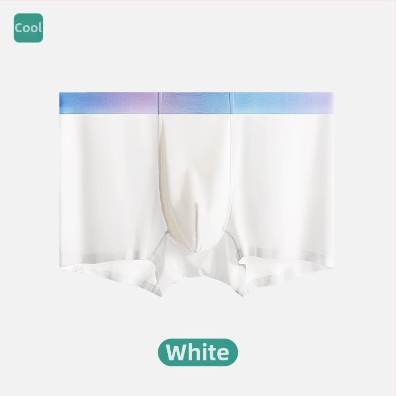 Boxer briefs pentru bărbați, fără cusături, din ice-silk, respirabile, antibacteriene, uscare rapidă, vară, 7A