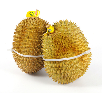 Curele extinse pentru durian, curele de legare rezistente, variante negru, alb și culoare durian
