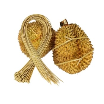 Curele extinse pentru durian, curele de legare rezistente, variante negru, alb și culoare durian