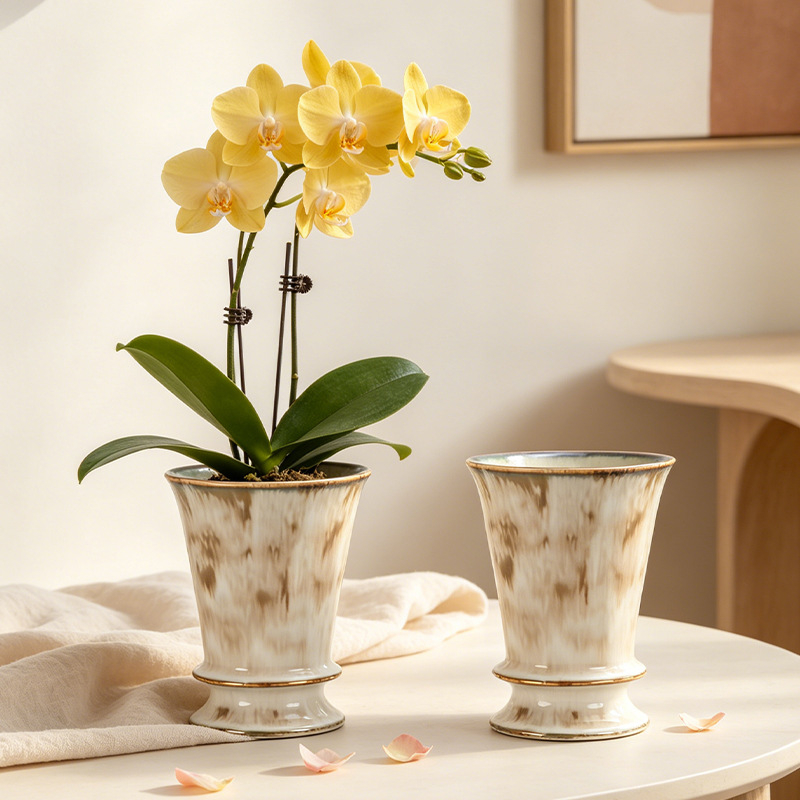 Ghiveci ceramic pentru Phalaenopsis, respirabil, stil nordic, pentru birou și casă