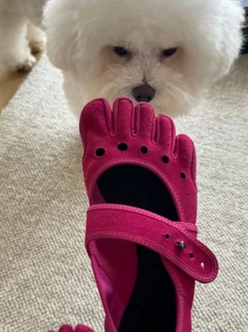 Mary Jane cipele s pet prstiju za unutarnju i vanjsku upotrebu, protuklizna mekana potplata, za jogu, pilates i ples, split-toe, Jane Evo