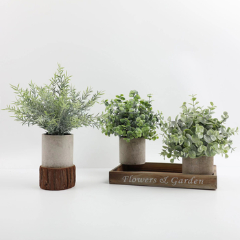Set de bonsai din plante artificiale cu eucalipt pentru decor interior