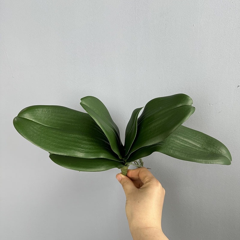 Frunze artificiale de orhidee Phalaenopsis pentru decor de bonsai, nunți și vitrine