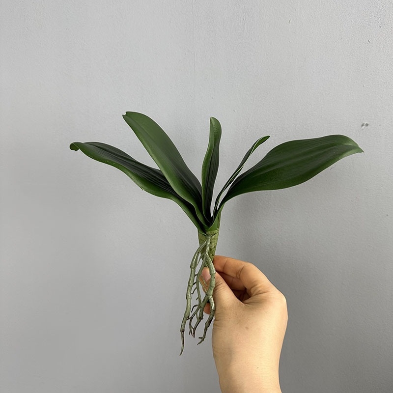 Frunze artificiale de orhidee Phalaenopsis pentru decor de bonsai, nunți și vitrine