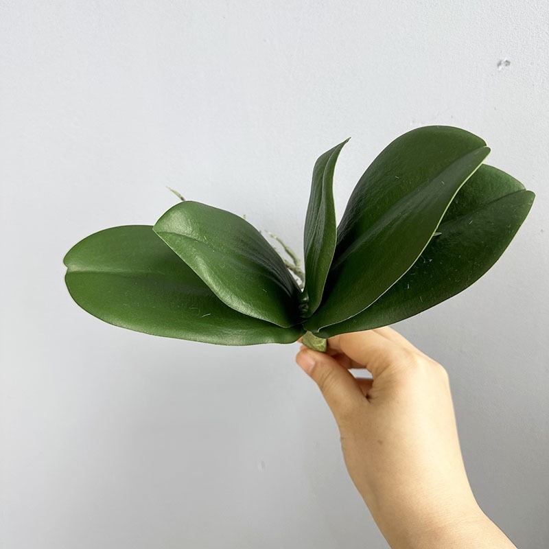 Frunze artificiale de orhidee Phalaenopsis pentru decor de bonsai, nunți și vitrine