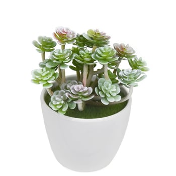Buchet mic de suculente artificiale, 24 de capete, decor interior cu flori din plastic