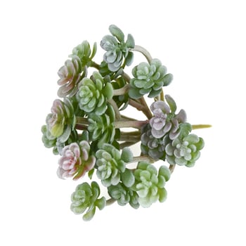 Buchet mic de suculente artificiale, 24 de capete, decor interior cu flori din plastic