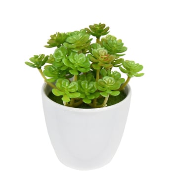 Buchet mic de suculente artificiale, 24 de capete, decor interior cu flori din plastic