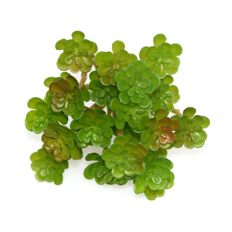 Buchet mic de suculente artificiale, 24 de capete, decor interior cu flori din plastic