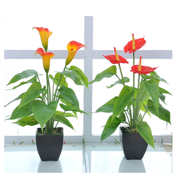 Bonsai artificial Calla Lily în ghiveci din plastic — plantă decorativă de interior