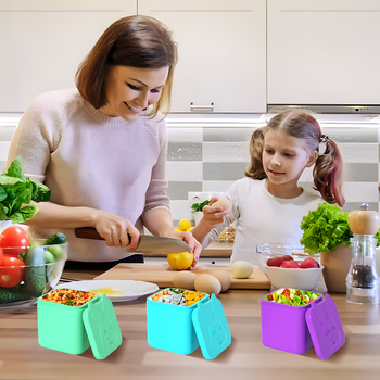 Recipient din silicon antiaderent pentru dressing de salată, recipient portabil pentru sos de prânz, recipient compact pentru condimente