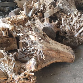 Cos de fructe din lemn masiv cu sculptură în rădăcină, bol de fructe natural din lemn, decor pentru living