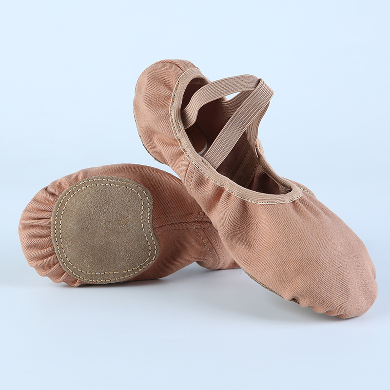 Pantofi de dans din material textil pentru adulți, pantofi de practică cu talpă moale pentru femei, pantofi de yoga pentru copii, pantofi cu imprimeu labă de pisică, pantofi de balet