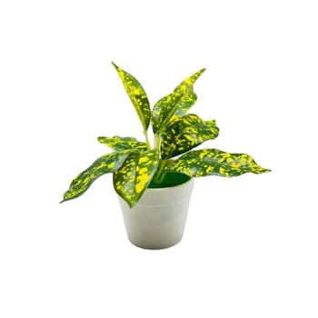 En-gros: plante artificiale pentru casă, bonsai mic în ghiveci, decor de birou, flori artificiale, ornamente mici creative