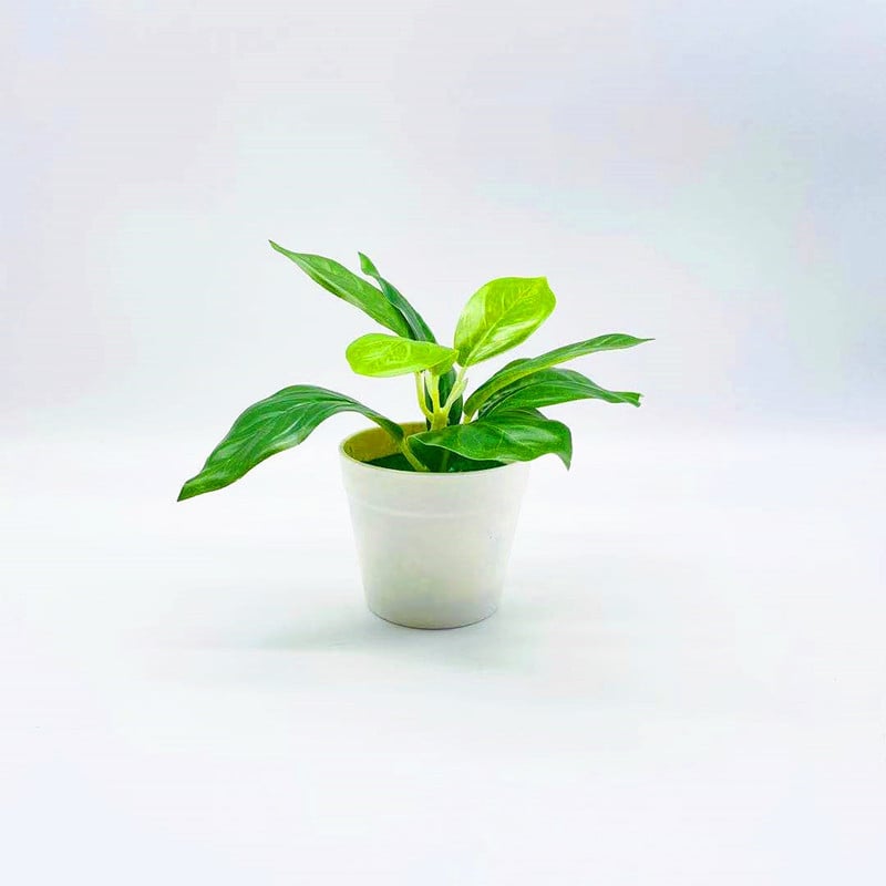 En-gros: plante artificiale pentru casă, bonsai mic în ghiveci, decor de birou, flori artificiale, ornamente mici creative