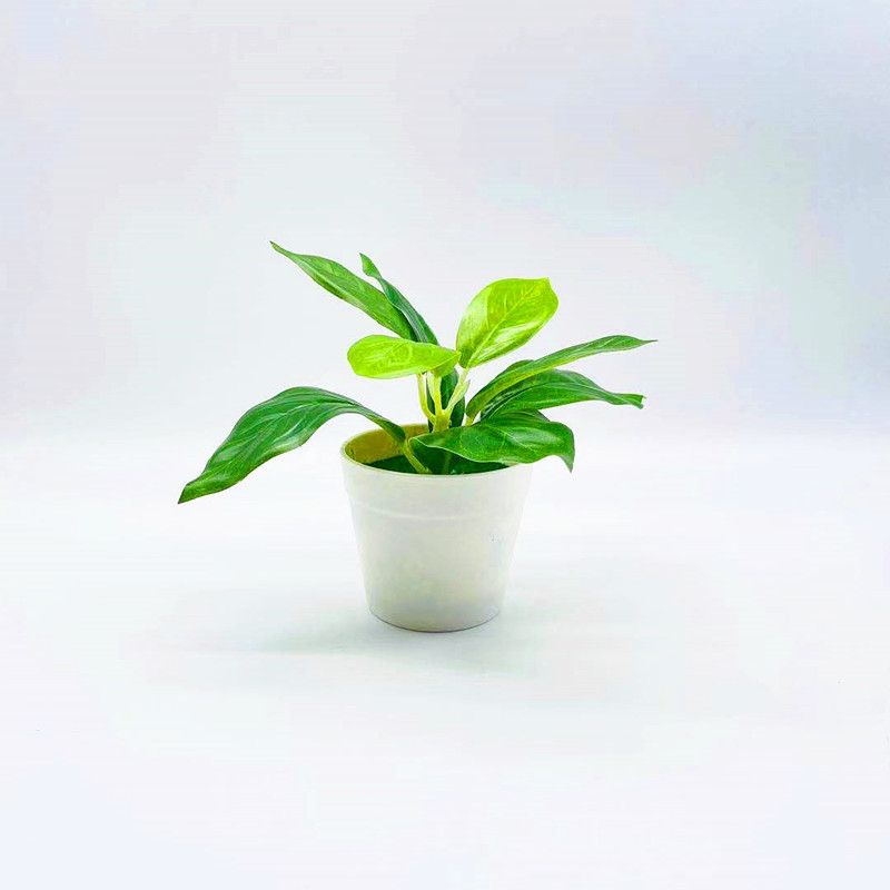 En-gros: plante artificiale pentru casă, bonsai mic în ghiveci, decor de birou, flori artificiale, ornamente mici creative