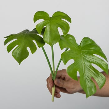 Frunze artificiale Monstera pentru decor acasă, plante verzi Monstera, materiale pentru aranjamente florale, frunze Monstera în formă de buchet