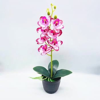 Bonsai artificial cu orchidă Phalaenopsis, 7 flori, decor floral