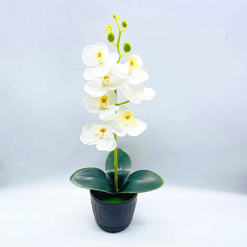 Bonsai artificial cu orchidă Phalaenopsis, 7 flori, decor floral